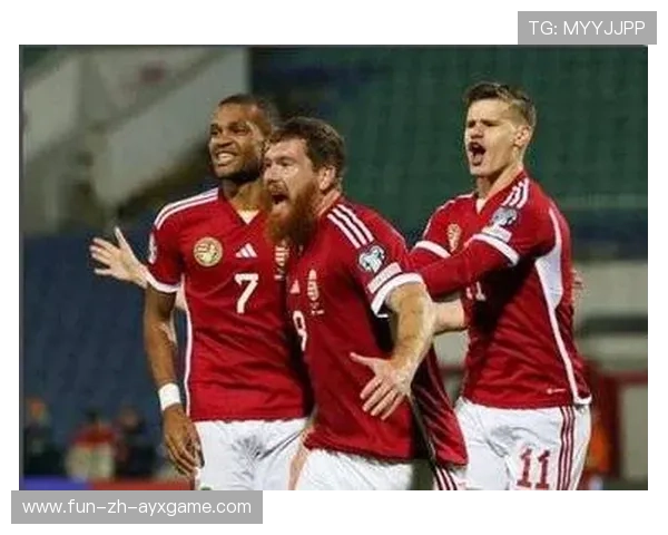 世预赛焦点：匈牙利对爱尔兰、欧洲区关键战预览